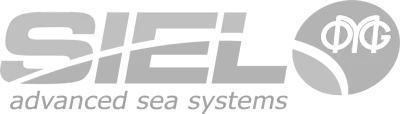 Logo-ul Siel Viziunea globală AGM